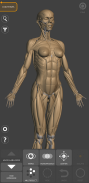 Anatomía 3D para el artista Lt screenshot 6