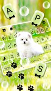 Cute White Puppy Keyboard Background screenshot 0