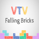 VTV - Falling Bricks Icon