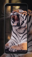 Tiger Wallpapers screenshot 2