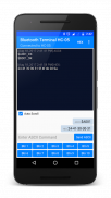 Bluetooth Terminal HC-05 screenshot 2