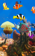 Aquarium and fishes screenshot 0