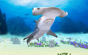 The Hammerhead Shark screenshot 10