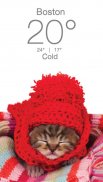 Weather Kitty - Forecast, Radar & Cat Pictures screenshot 4