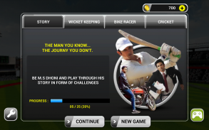 MSD: World Cricket Bash screenshot 7