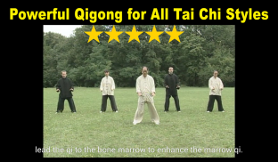 Tai Chi Ball Qigong (Dr. Yang) screenshot 3