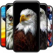 Eagle Wallpaper screenshot 8