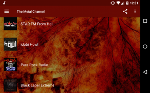 The Metal Channel screenshot 1