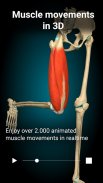 3D-Anatomie - Anatomy Learning screenshot 7