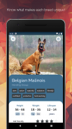Doggypedia - Dog breeds encycl screenshot 8