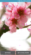 Flower Spring Live Wallpapers screenshot 7