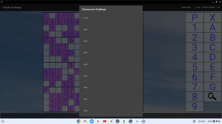 16x16 Sudoku Challenge HD screenshot 11