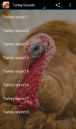 Turkey Sounds screenshot 0