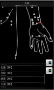acupunctuur  (voorlopige) screenshot 8
