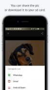 Dog images 2017 🐕 screenshot 8