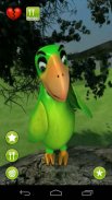 Popo Parrot Match Free screenshot 2