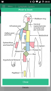 Lymphatic System Reference screenshot 1