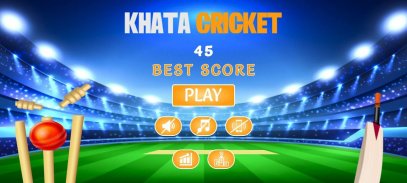 Khata Cricket screenshot 1