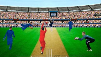 world cup 3d Cricket Bat Games screenshot 0