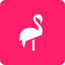 Flamingo Scooters Icon