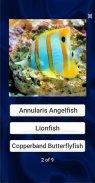 Fish Quiz screenshot 10