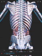 Visual Anatomy 3D screenshot 13