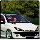 206 Driving Simulator Icon