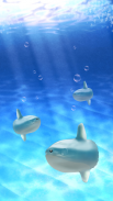 Aquarium sunfish simulation screenshot 0