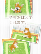 癒しの子犬育成ゲーム〜柴犬編〜 screenshot 9