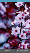 Flower Spring Live Wallpapers screenshot 8