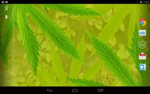 MaryJane Free Live Wallpaper screenshot 2