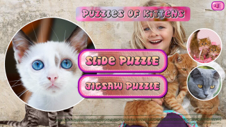 Puzzles of Kittens Free screenshot 0