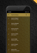 Beautiful Qur'an Recitation - MP3 Offline screenshot 0