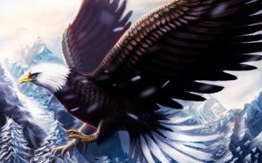 Bald Eagle Wallpaper screenshot 4