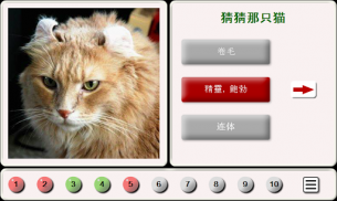 猜猫：瓷砖拼图 screenshot 7