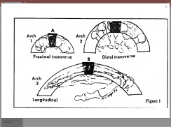 Rheumatology UCT screenshot 3