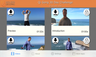 Qi Gong 30 Day w Lee Holden screenshot 3