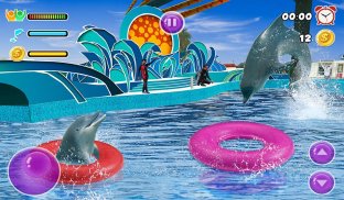 Dolphin Water Stunts Show screenshot 10