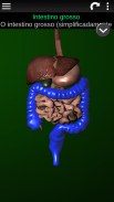 Órgãos Internos em 3D (Anatomia) screenshot 1