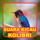 Suara Kicau: Burung Kolibri
