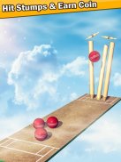 Top Cricket Ball Slope Game screenshot 5