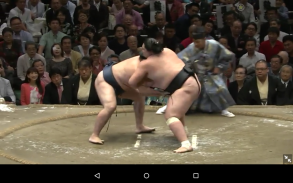 Grand Sumo screenshot 16