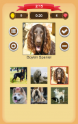 Dogs Quiz screenshot 1