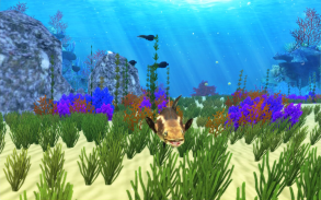 The Cobia screenshot 14