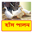 হাঁস পালন ~ Duck Farming