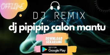 DJ Pipipi Calon Mantu Remix Offline Full Bass screenshot 0