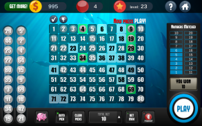 Keno Kostenloses Keno-Spiel screenshot 0