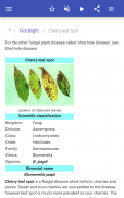 Les maladies des plantes screenshot 1