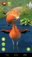 Talking Flamingo screenshot 3