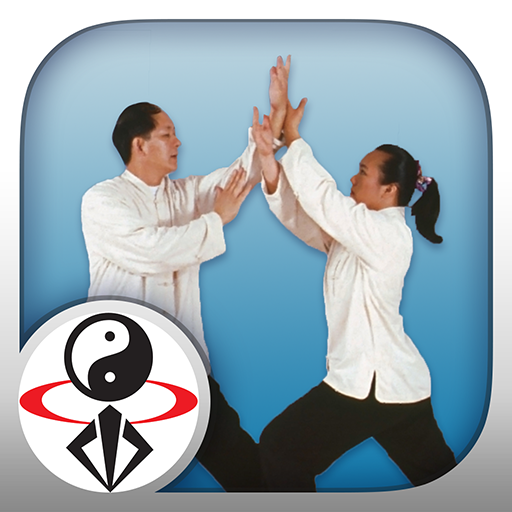 Masha Entchevitch Push hands tai chi. Hand Push.